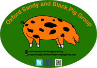 Oxford Sandy & Black Pig Group